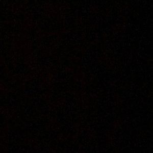 Meet your Posher, Curtis